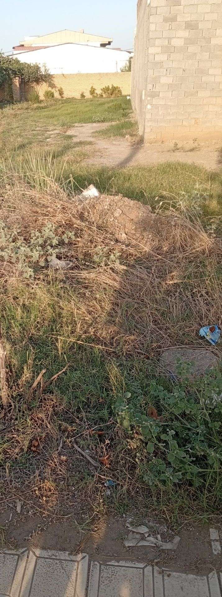 تصویر ملک